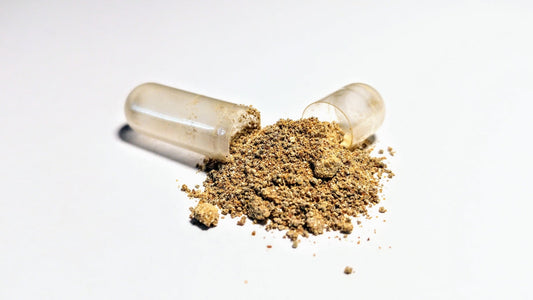 KSM-66 β A Standardised Ashwagandha Extract with Clinically Proven Effects
