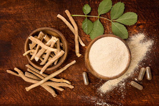 Ashwagandha root, powdered ashwagandha in a bowl, and capsules on a table, showcasing its benefits for insomnia and anxiety.