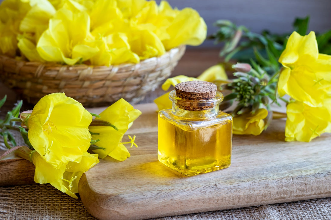 Yellow evening primrose flowers in a basket with a jar of evening primrose oil on a wooden table, highlighting its health benefits.