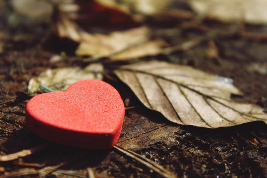 Red heart symbol on wooden boards with forest leaves – symbolising natural krill oil support for cholesterol and heart health